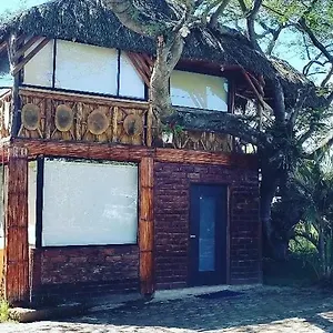 Casa Del árbol Quito